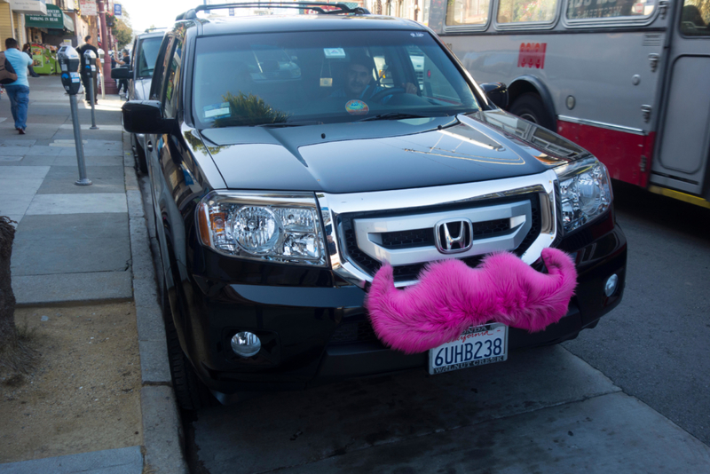 The “Carstache” | Alamy Stock Photo by Randy Duchaine