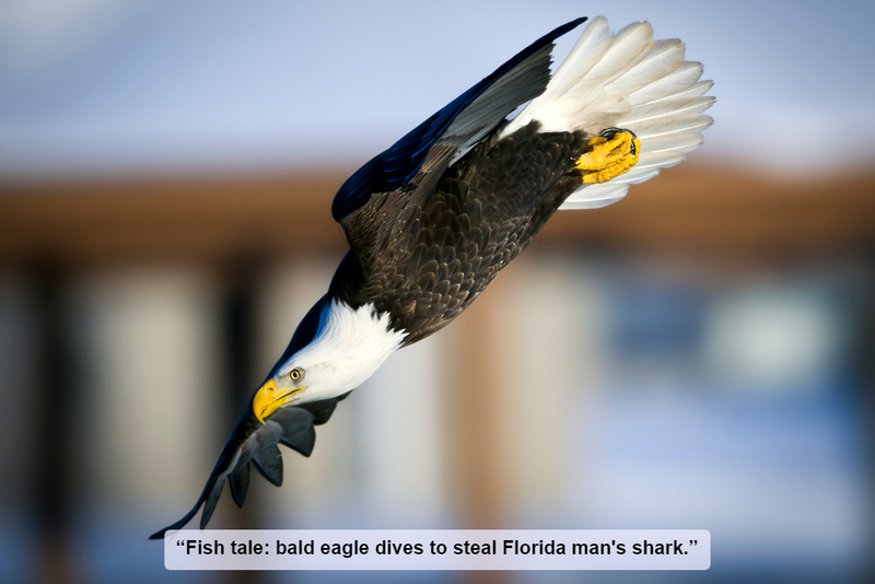 The One That Got Away | Getty Images Photo by Todd Ryburn Photography