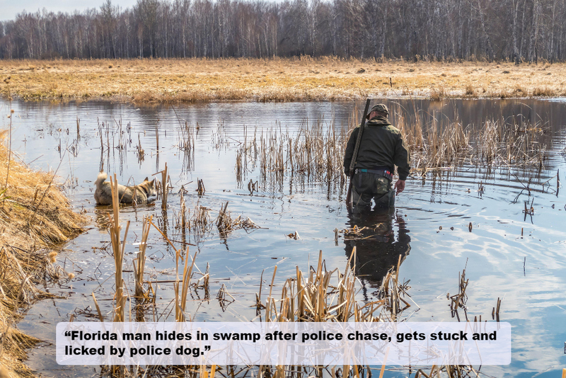 They Know a Florida Man Could Bite Back | Alamy Stock Photo