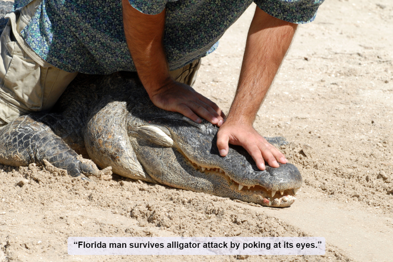 When Florida Attacks | Getty Images Photo by Juanmonino