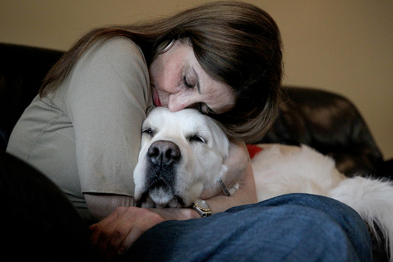 Kuscheln nach der Mahlzeit | Getty Images Photo by Suzanne Kreiter/The Boston Globe