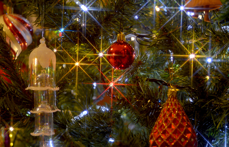 Haz que tu árbol brille aún más | Shutterstock