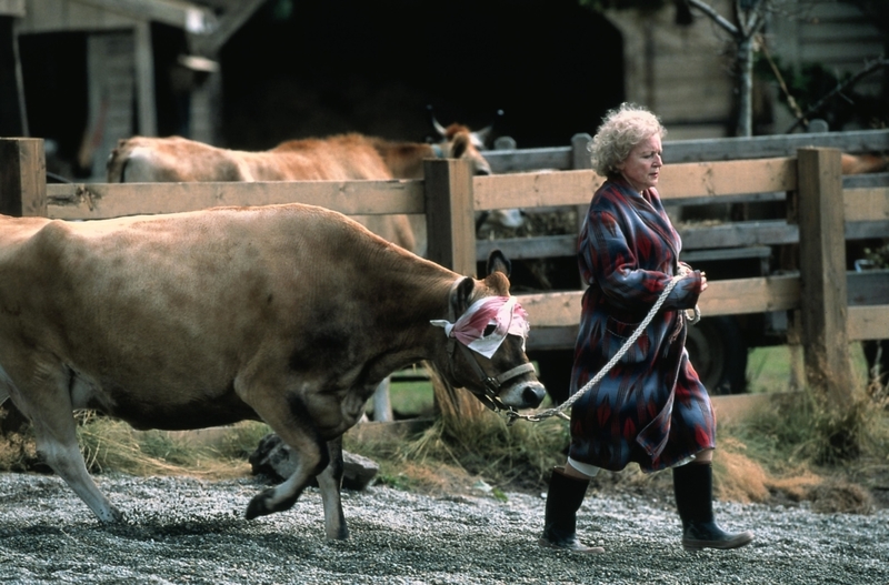 El trabajo soñado de Betty White | Alamy Stock Photo