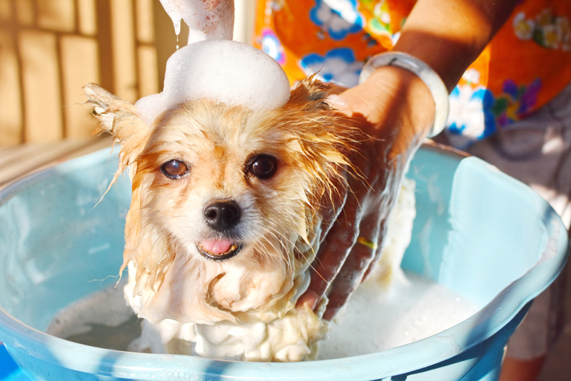 No hacen falta champús especiales | Shutterstock Photo by Leeyakorn06