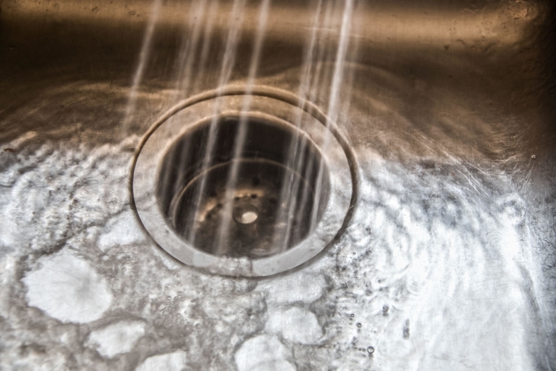 Deodorize Your Garbage Disposal | Alamy Stock Photo by Susan Vineyard