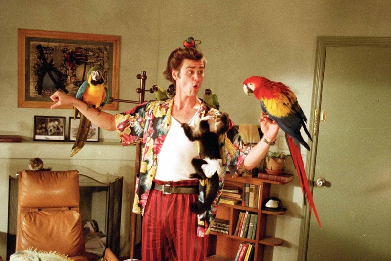 Ace Ventura, Pet Detective | MovieStillsDB Photo by Zayne/production studio