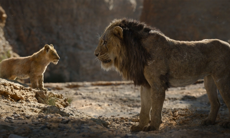 Lion King (2019) | Alamy Stock Photo