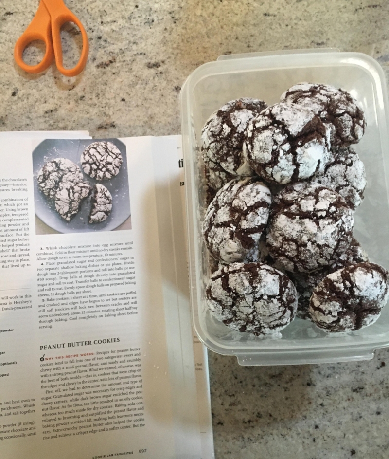 The Chocolate Crinkle Cookie | Reddit.com/ag2575