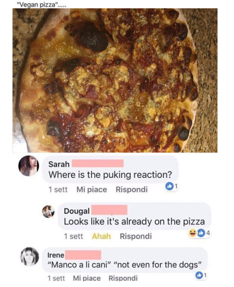 This Vegan Pizza | Reddit.com/samson1228 & Twitter/@ItalianComments