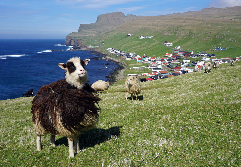 In the Meantime in Faroe Island | Shutterstock