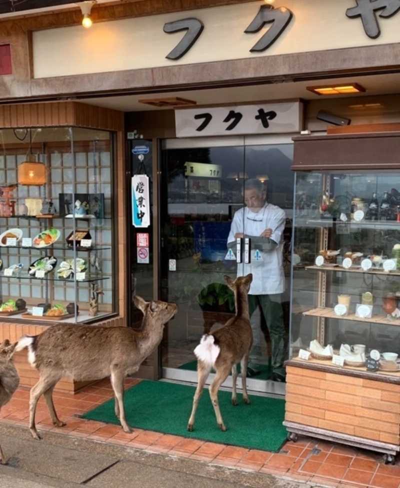 ​​In the Meantime in Japan | Reddit.com/NojayGames