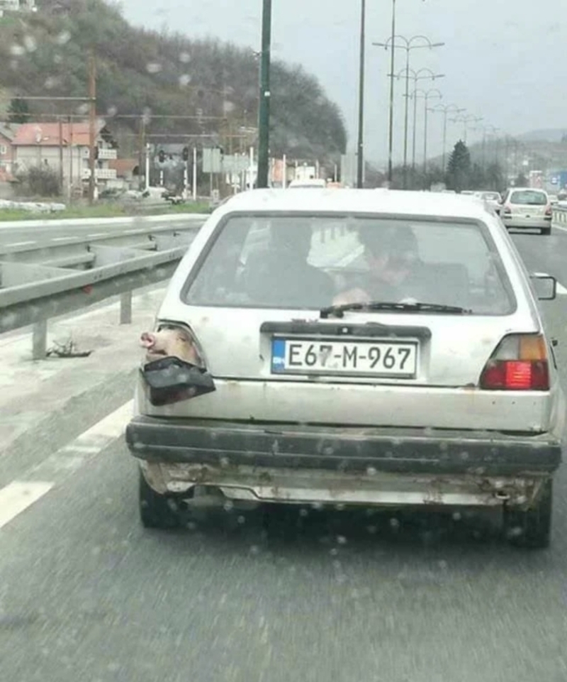 In the Meantime in Bosnia | Reddit.com/TomBradyGOAT