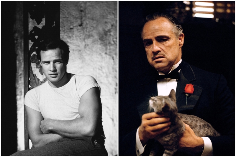 Marlon Brando (1950er-1960er) | Getty Images Photo by John Kobal Foundation & Alamy Stock Photo