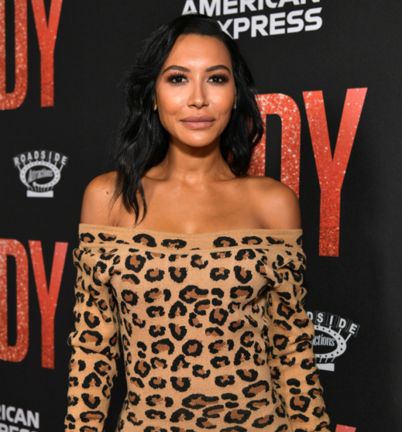 Naya Rivera | Getty Images Photo by Emma McIntyre