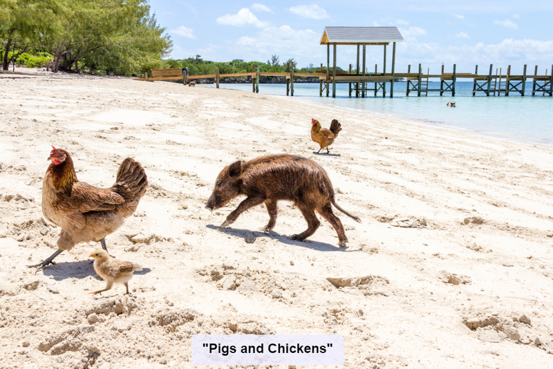 Pork and Nuggets | Shutterstock