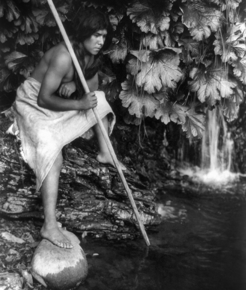 Hupa Man Spearing Salmon | Alamy Stock Photo by Edward Curtis