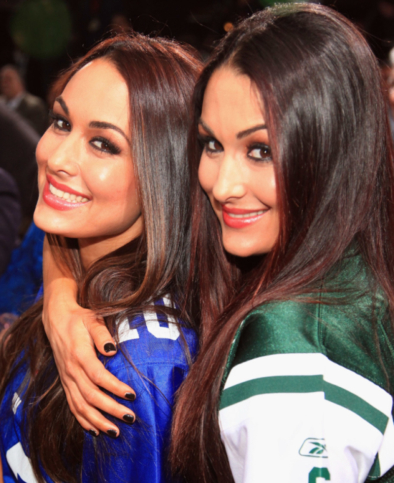  Brie und Nikki Bella | Getty Images Photo by John W. Ferguson/WireImage