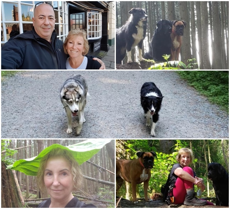 The Shocking Disappearance of Annette and Her Three Dogs | Facebook/@marcel.poitras.10 & @AnnettesDoggieDaycare