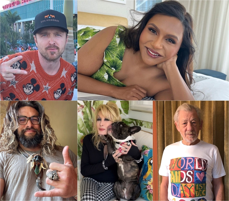 People Share the Times They Met Celebs Who Were Nice IRL | Instagram/@aaronpaul & @mindykaling & @prideofgypsies & @dollyparton & @ianmckellen