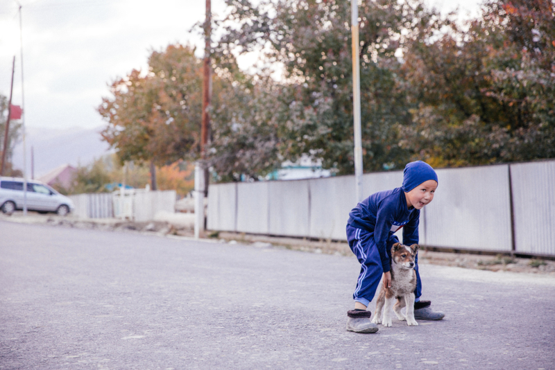 Junger Mann läuft auf die Straße, um seinen Hund zu retten | Alamy Stock Photo