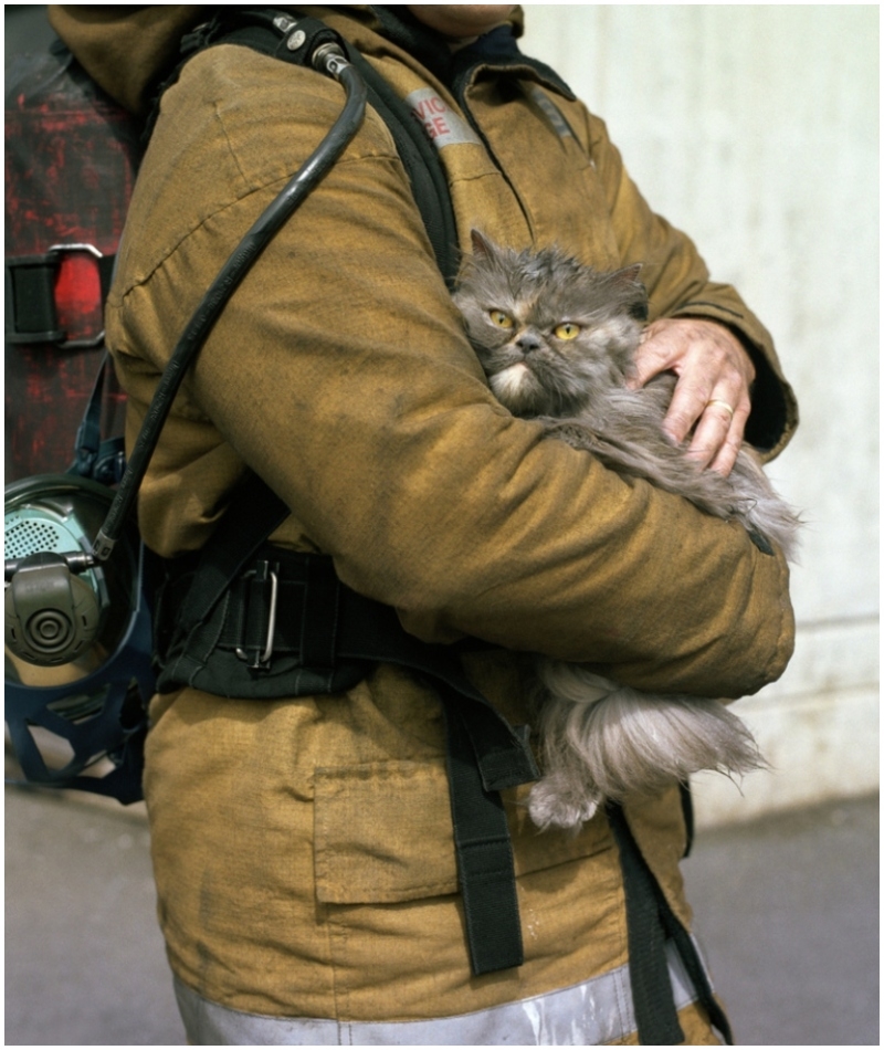 „Das hat mir überhaupt nicht gefallen“ | Getty Images Photo by Alan Thornton