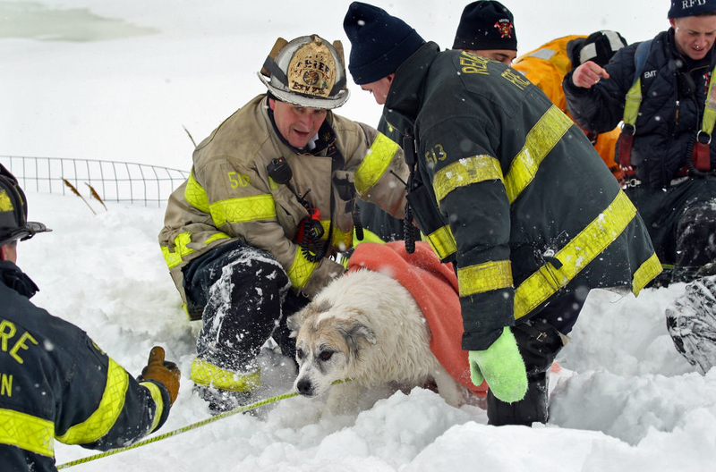 Teamarbeit vom Feinsten | Getty Images Photo by Mark Garfinkel/Boston Herald/MediaNews Group