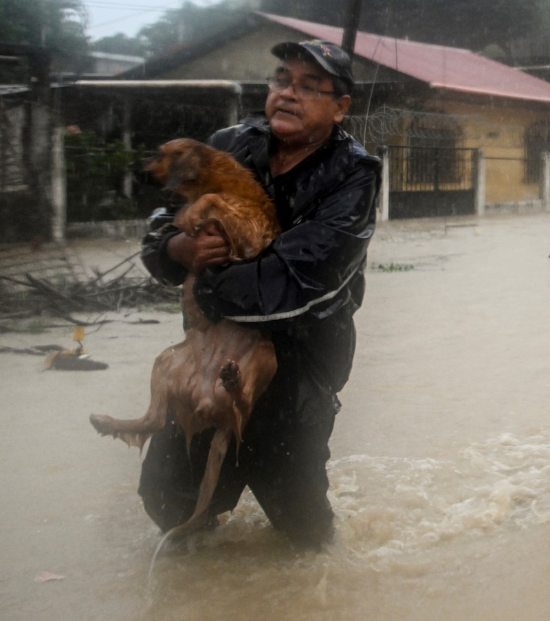 Bei tiefen Gewässern werden die Experten gerufen | Getty Images Photo by Johan ORDONEZ / AFP