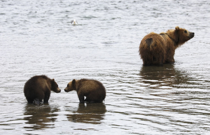 Überquerung des Sees | Getty Images Photo by Yekaterina Shtukina