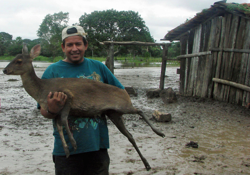 Auf den Hirsch kommt es an | Getty Images Photo by AIZAR RALDES/AFP