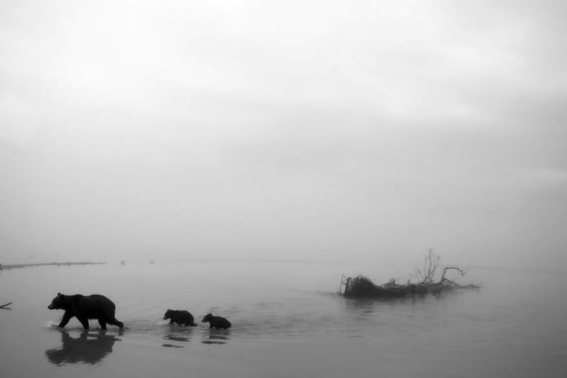 Ein schwieriges Terrain | Getty Images Photo by Valerio Ferraro/REDA&CO