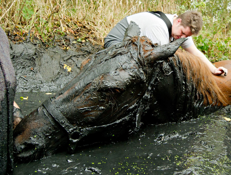 Festgefahren | Getty Images Photo by Daniel Bockwoldt/picture alliance