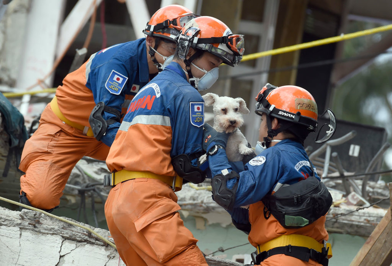 Aus dem Gebäude gerettet | Getty Images Photo by ALFREDO ESTRELLA/AFP