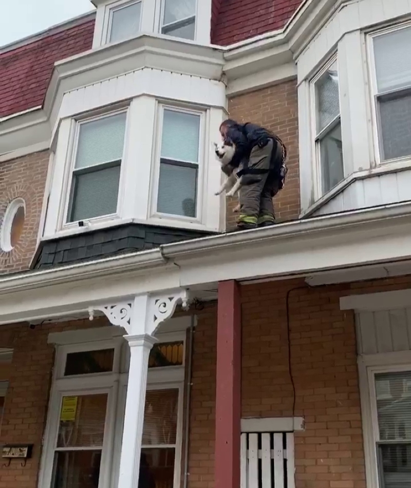 Rettung vom Dach | Facebook/@York City Department of Fire/Rescue Services