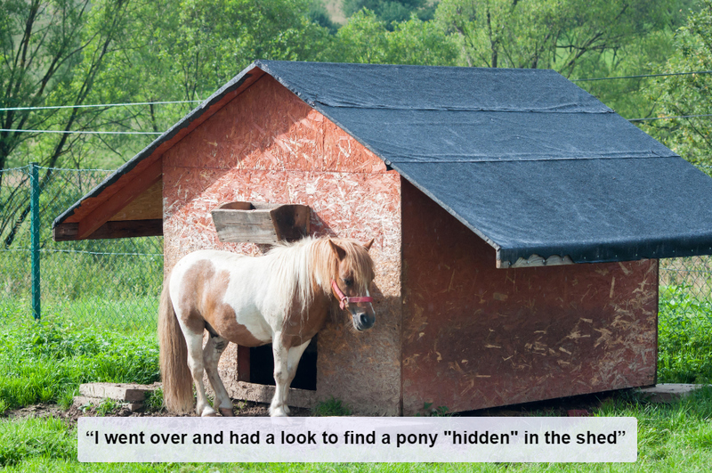 My Little “Hidden” Pony | Alamy Stock Photo