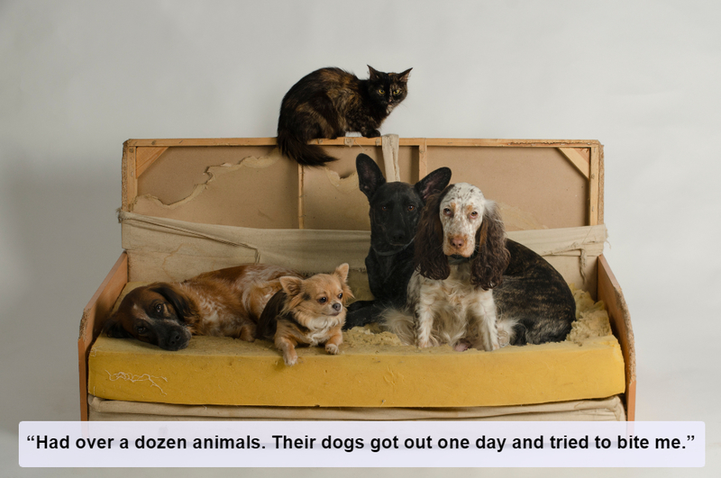 Animal Hoarder | Shutterstock
