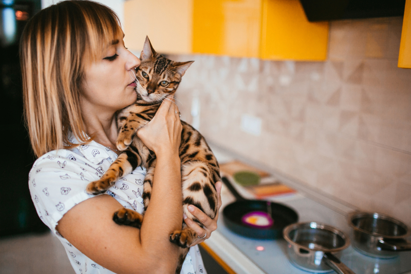 Bengal Cats | Shutterstock Photo by Pyrozhenka