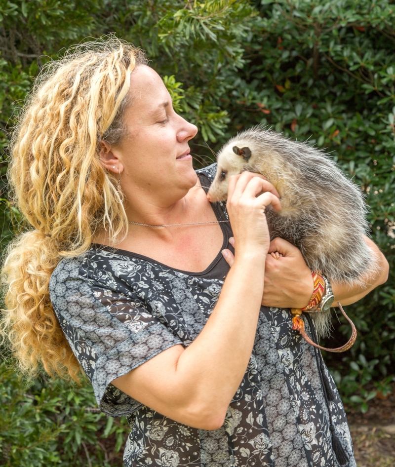 Opossums | Shutterstock Photo by Bob Poole