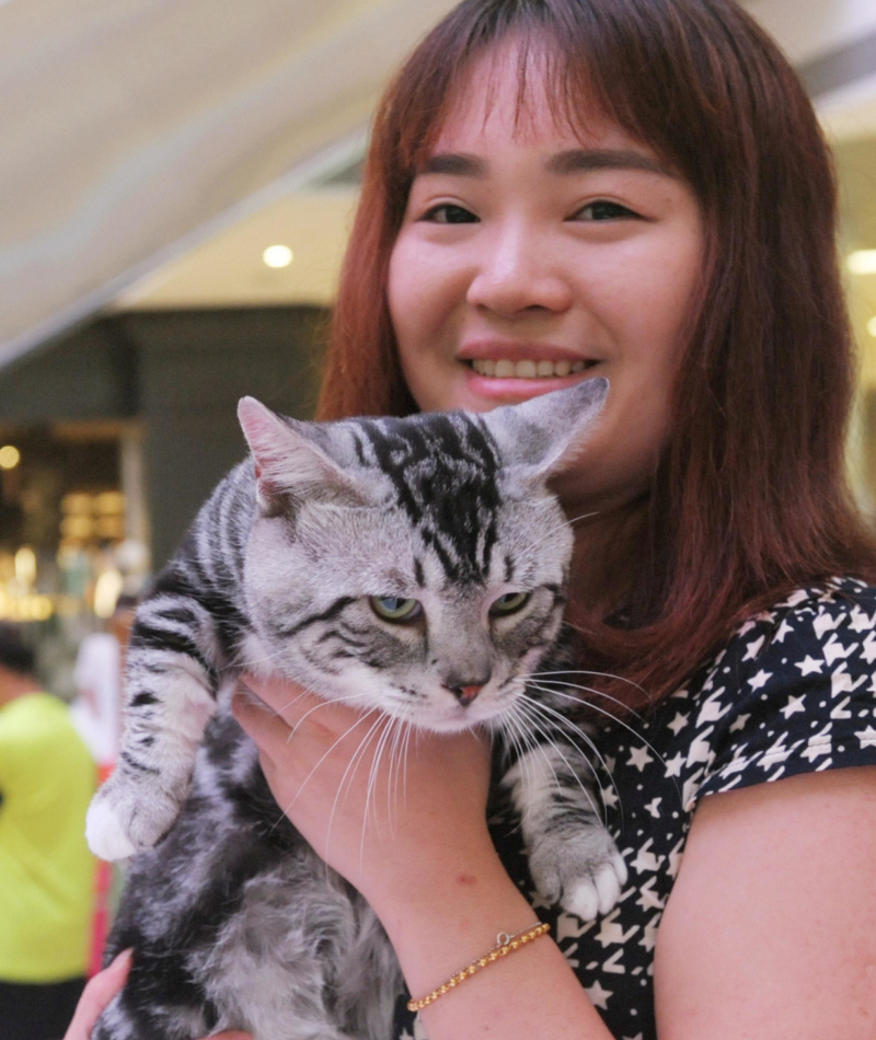 Munchkin Cat | Alamy Stock Photo by Jinma Mengni/Xinhua/Alamy Live News