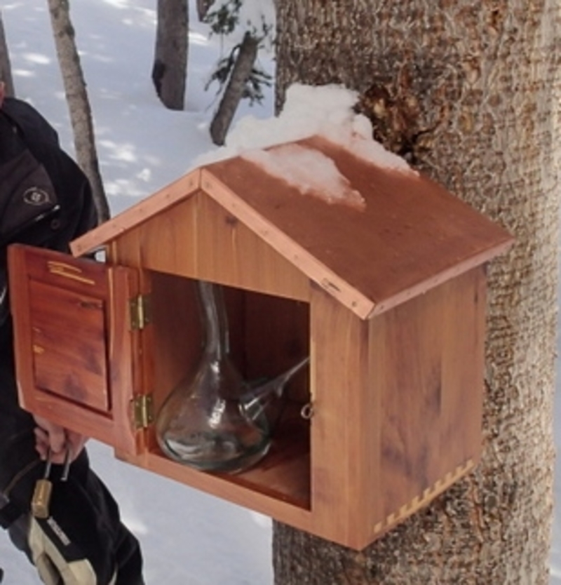 The Tale of the Taos Tree Martini | 