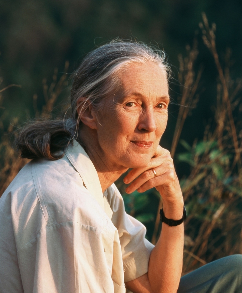 Jane Goodall | Alamy Stock Photo