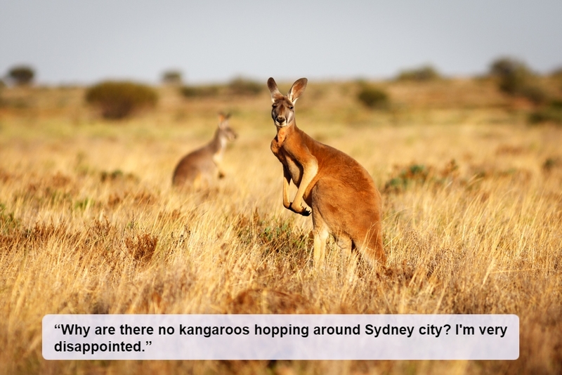 A Dearth of Wildlife | Shutterstock