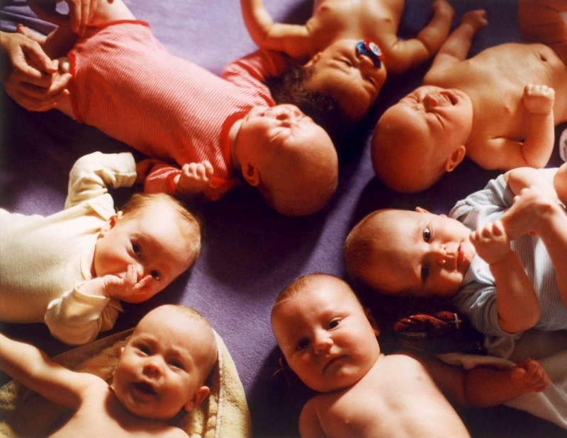 Conheça os Bebês | Alamy Stock Photo by JOKER/Süddeutsche Zeitung Photo