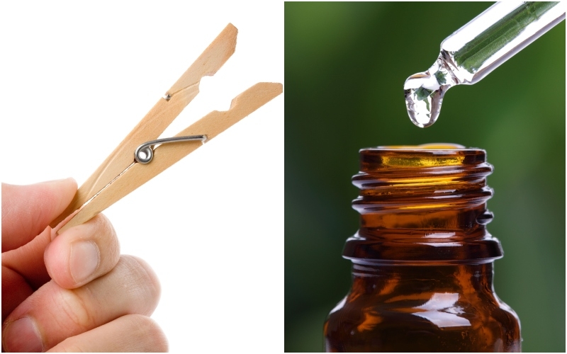 Un alfiler de madera y aceites esenciales son un buen ambientador para el automóvil | Alamy Stock Photo by Feng Yu & Brian Jackson