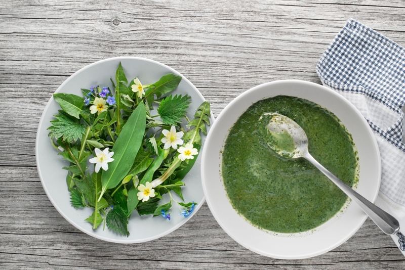 Dandelion’s Soup | Alamy Stock Photo by Dušan Zidar 