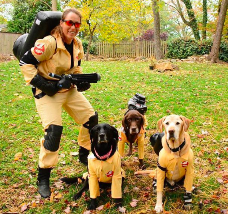 Ghostbusters | Imgur.com/jedidachshund