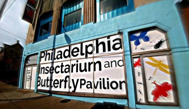 The Philadelphia Insectarium and Butterfly Pavilion Heist — $40,000 | Facebook/@philainsects