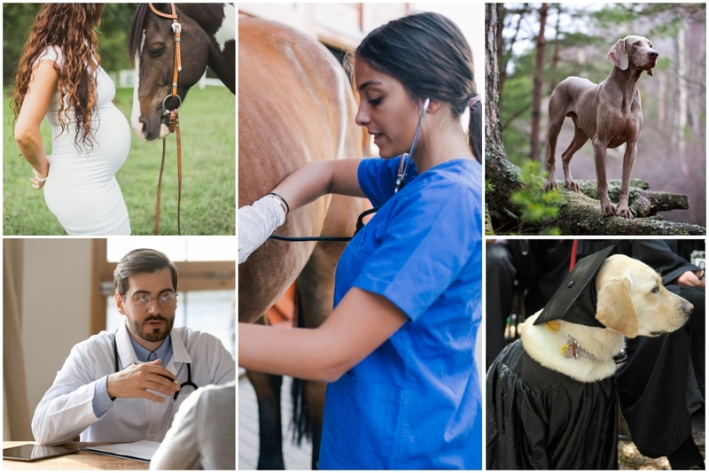 She Thought She Was Just Having a Baby Until Her Horse Discovered Something Else | Shutterstock & Getty Images Photo by Paul Marotta