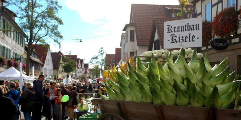 A Festival to Celebrate Filderkraut | 