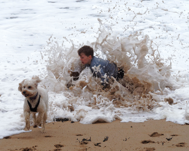 Dogging Out | Alamy Stock Photo