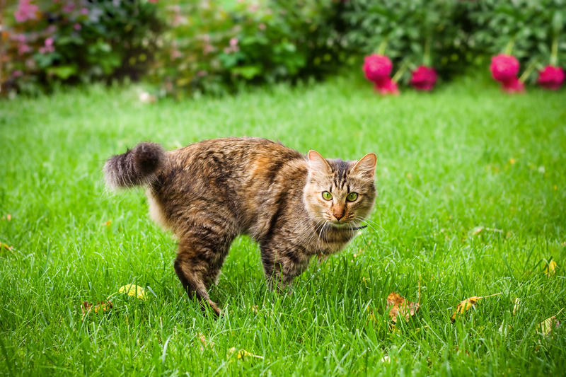 Running Away | Shutterstock Photo by YuliaPodlesnova